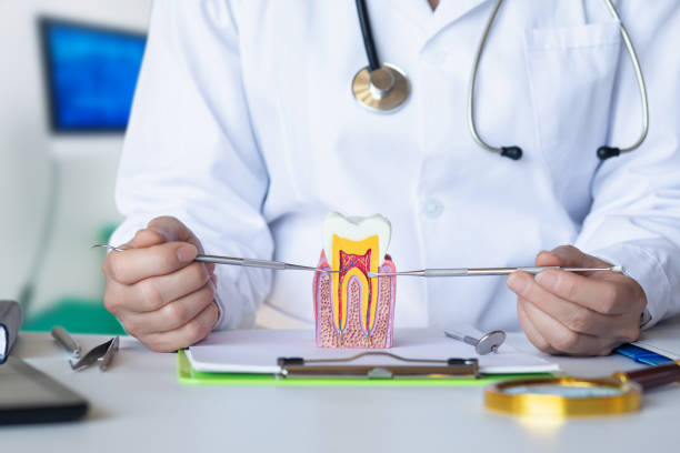 Best Broken or Cracked Tooth Emergency Dentist in Mead, CO